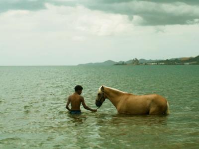Festival Tribeca: Películas latinoamericanas premiadas