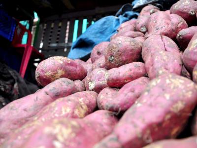 Mientras banano cae, otros productos orgánicos crecen en la UE