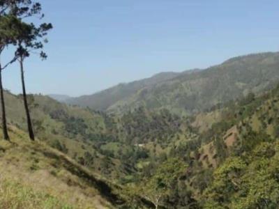 Para julio está previsto inicio estudio ambiental proyecto Romero