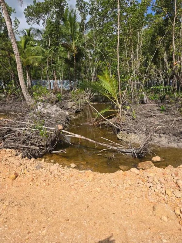 Procuraduría paraliza proyecto inmobiliario por daños ambientales en Las Terrenas, Samaná