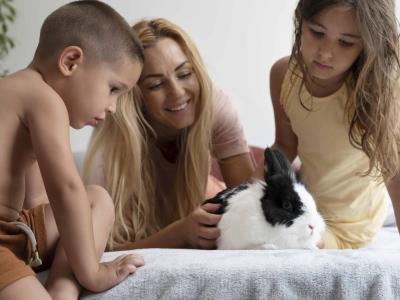 Cómo fomentar el amor y la empatía hacia los animales en la infancia