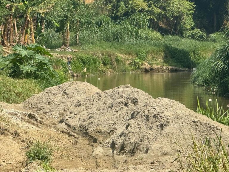 Denuncian daño ambiental en Moca: extracción de arena amenaza el equilibrio ecológico