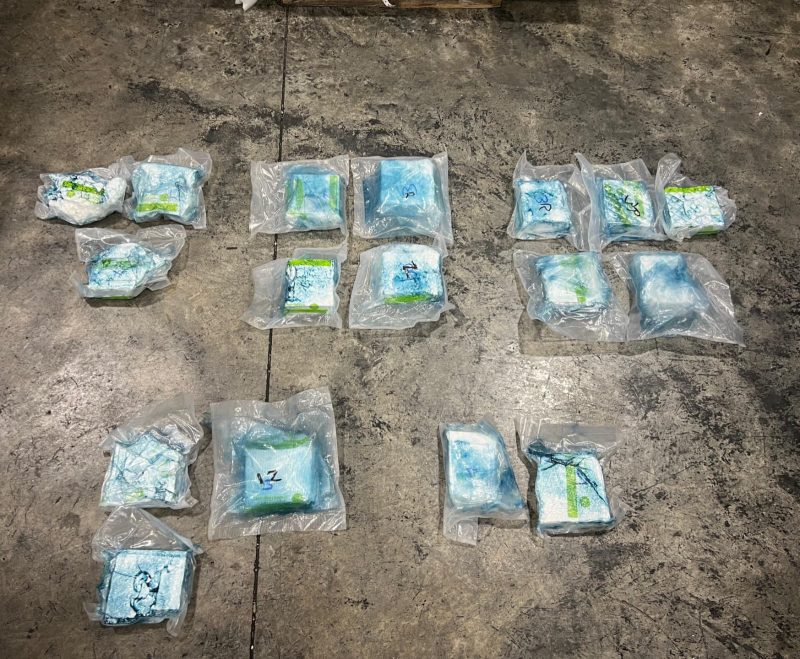 DNCD impide envío de 17 paquetes de presunta cocaína a EE. UU.