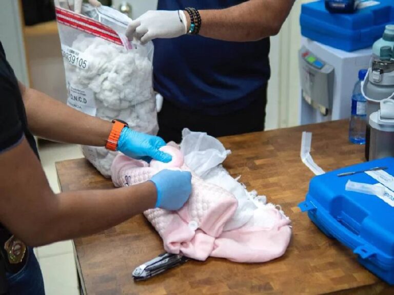 DNCD intercepta peluche relleno de cocaína que sería enviado a Australia