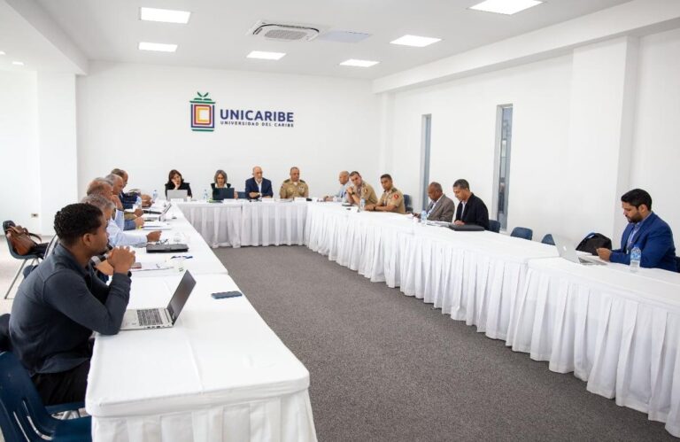El CES revelará propuestas concretas sobre la crisis de Haití el 23 de julio