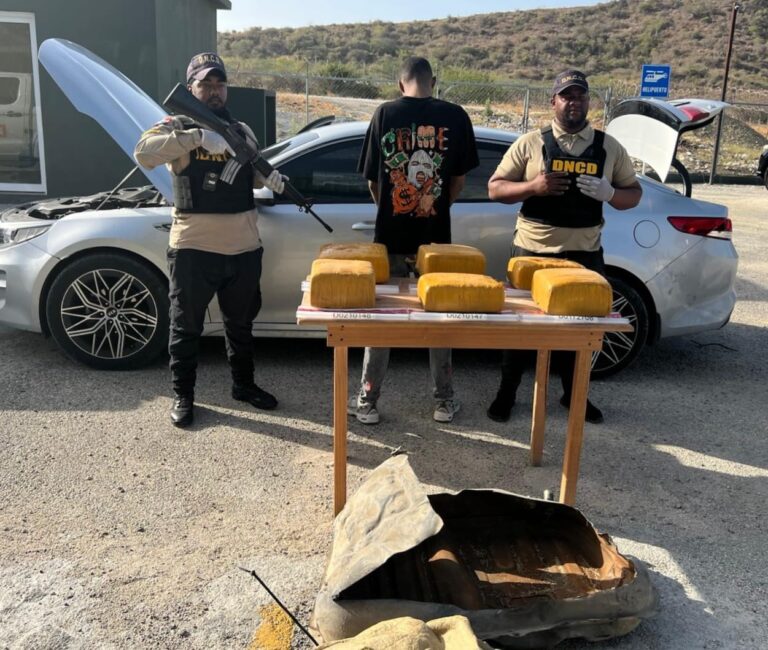 Incautan 140 paquetes de marihuana en operativos en AILA y Barahona