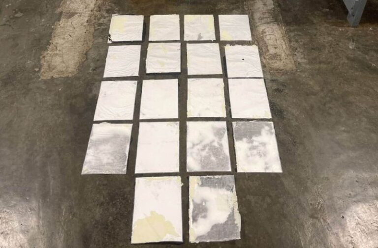 Incautan 18 láminas de cocaína camufladas en cuadros de cartón en el AILA