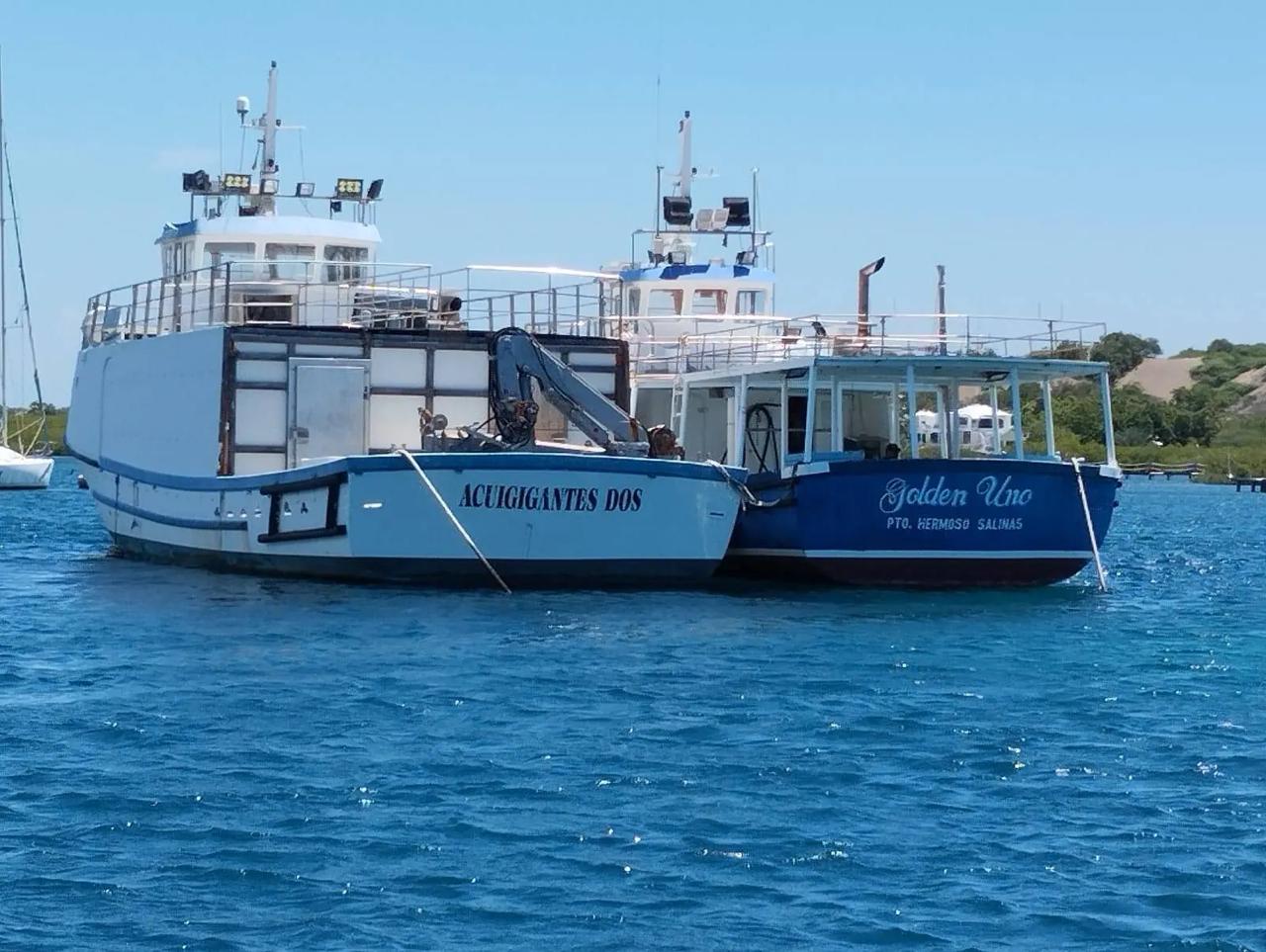 Intervienen 1,680 kilos de cocaína en velero procedente de Sudamérica; red tendría nexos con República Dominicana