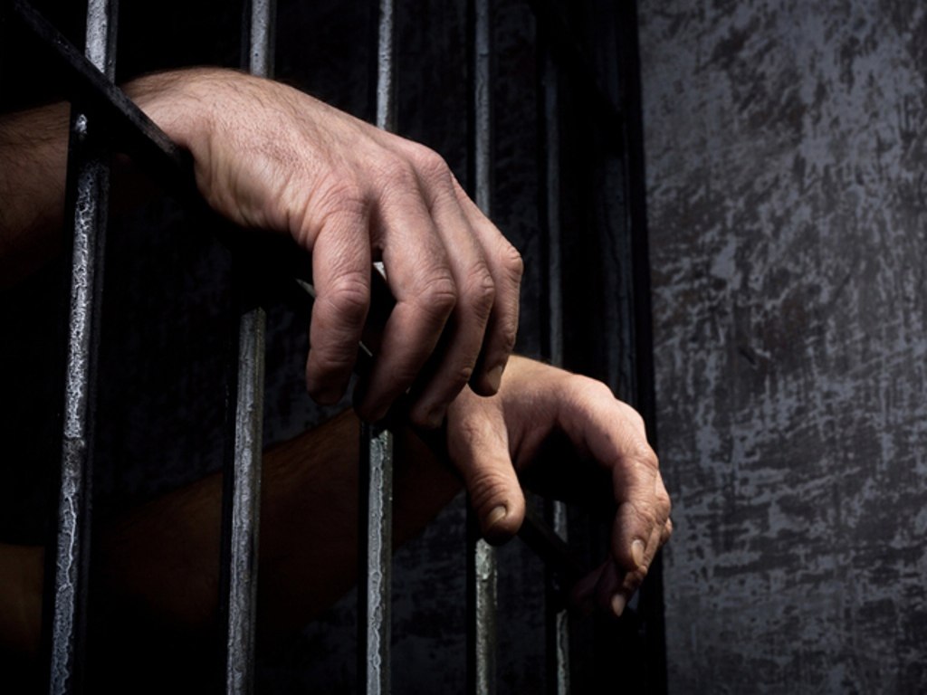 La Policía Cibernética arresta a cinco personas por delitos de estafas electrónicas y abuso sexual