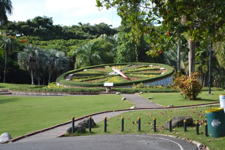 Ministro de Medio Ambiente afirma que el impacto al Jardín Botánico sería del 0.01%