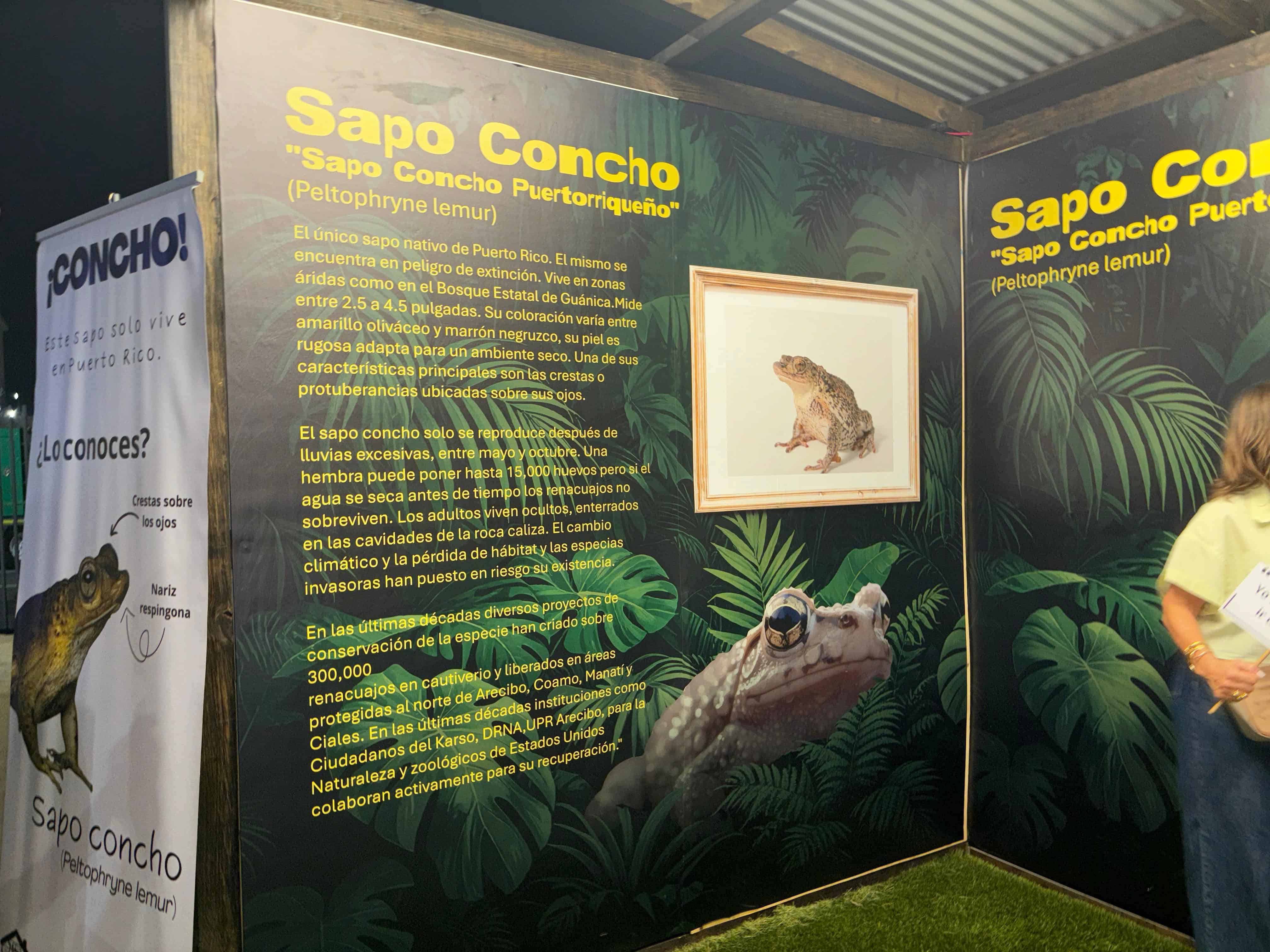 Infografía
