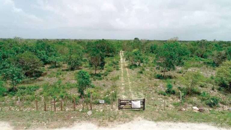 Tribunal Constitucional cierra las puertas al Aeropuerto Internacional de Bávaro