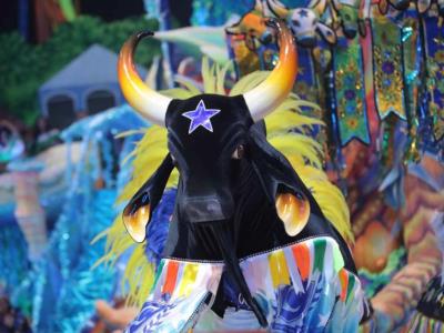 Un desfile que exalta la diversidad del pueblo del bosque