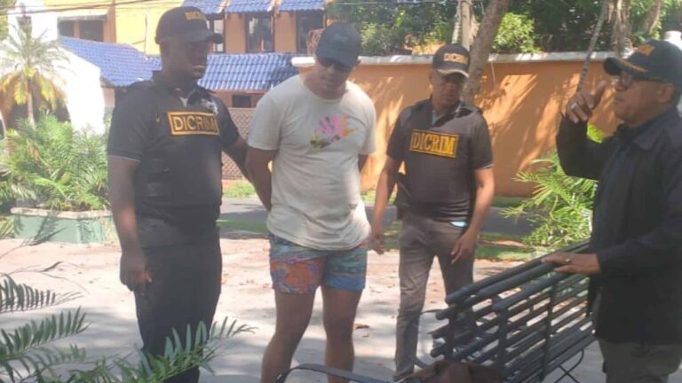 Un hombre lanza un perro desde el piso 11 de una torre en Bella Vista