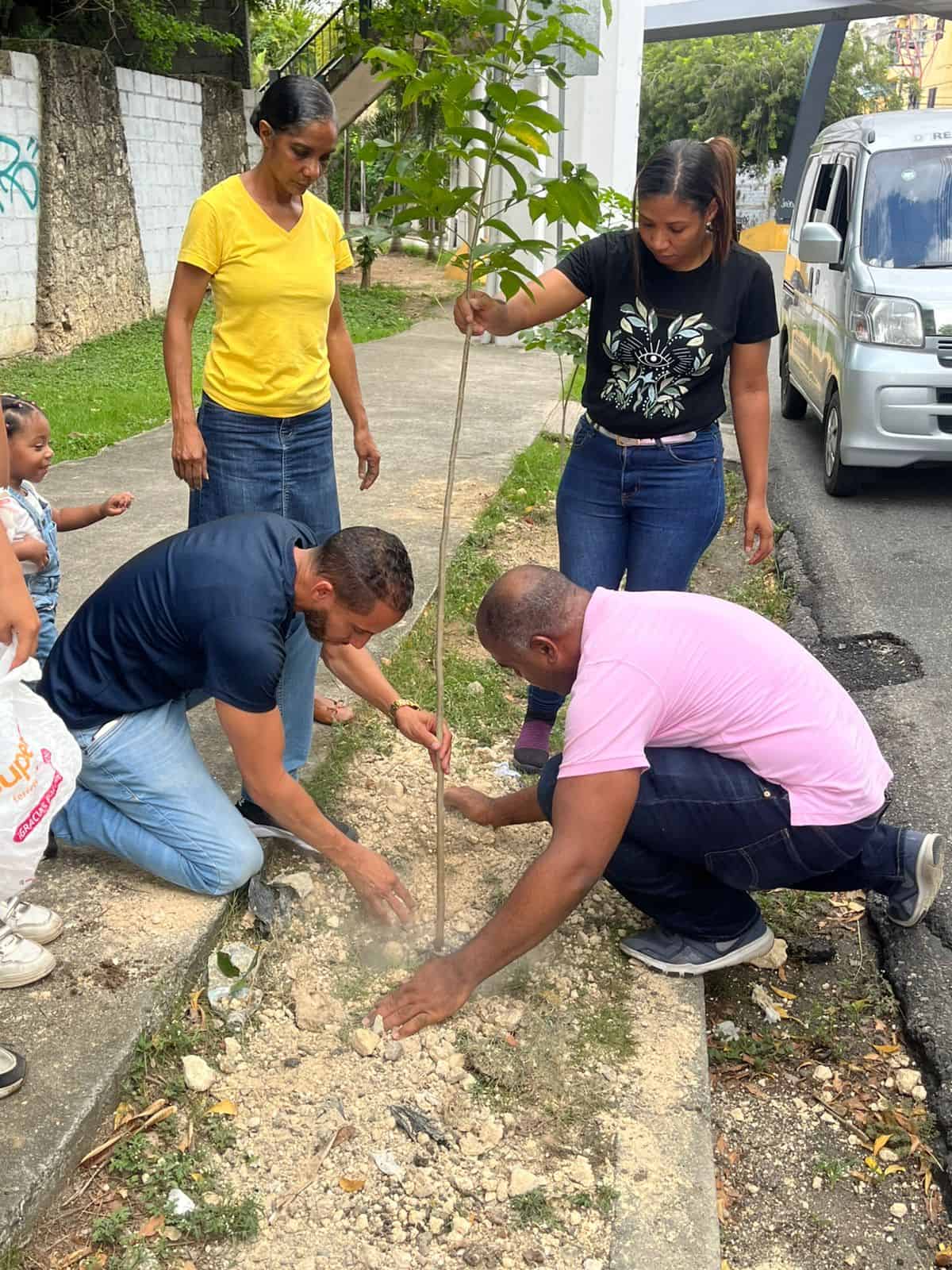 Durante la reforestación.