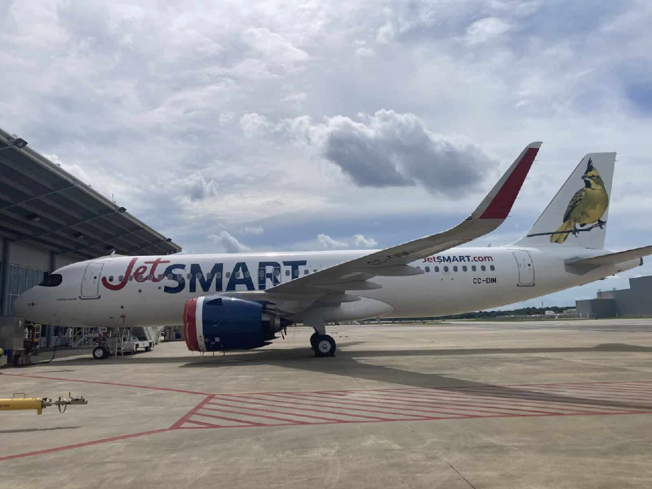 La Junta de Aviación Civil autoriza rutas aéreas directas desde Punta Cana hacia Cali y Medellín
