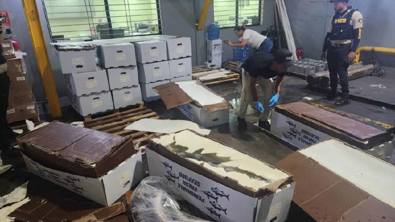 Querían camuflarla entre pescados, pero era cocaína: DNCD frustra envío de 58 kilos a Miami