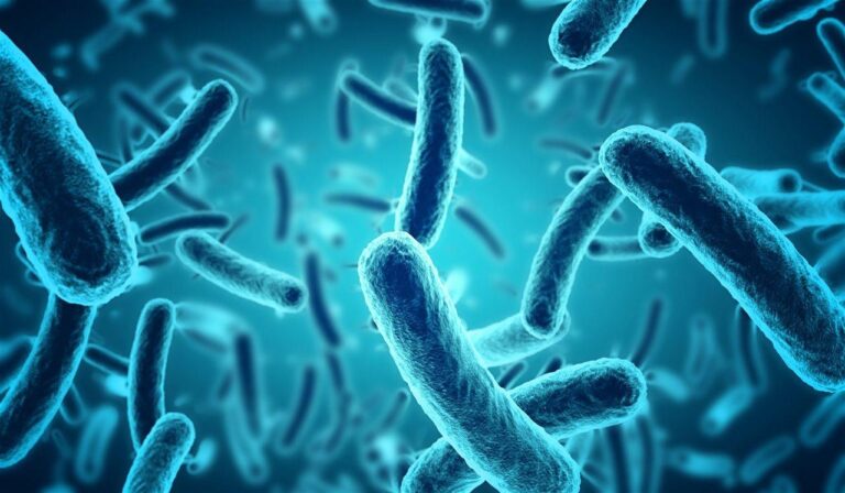Salud pública solicita autopsia para esclarecer muerte de mujer con cuadro de gastroenteritis