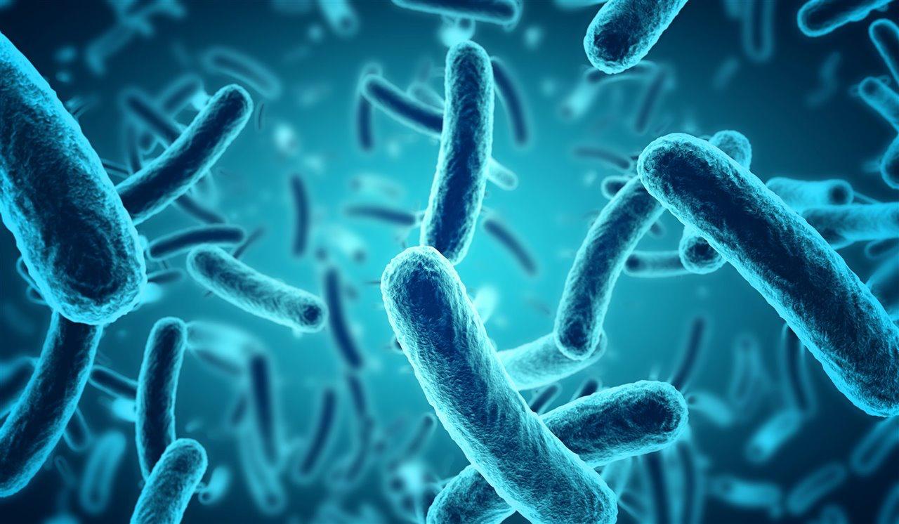 Salud pública solicita autopsia para esclarecer muerte de mujer con cuadro de gastroenteritis