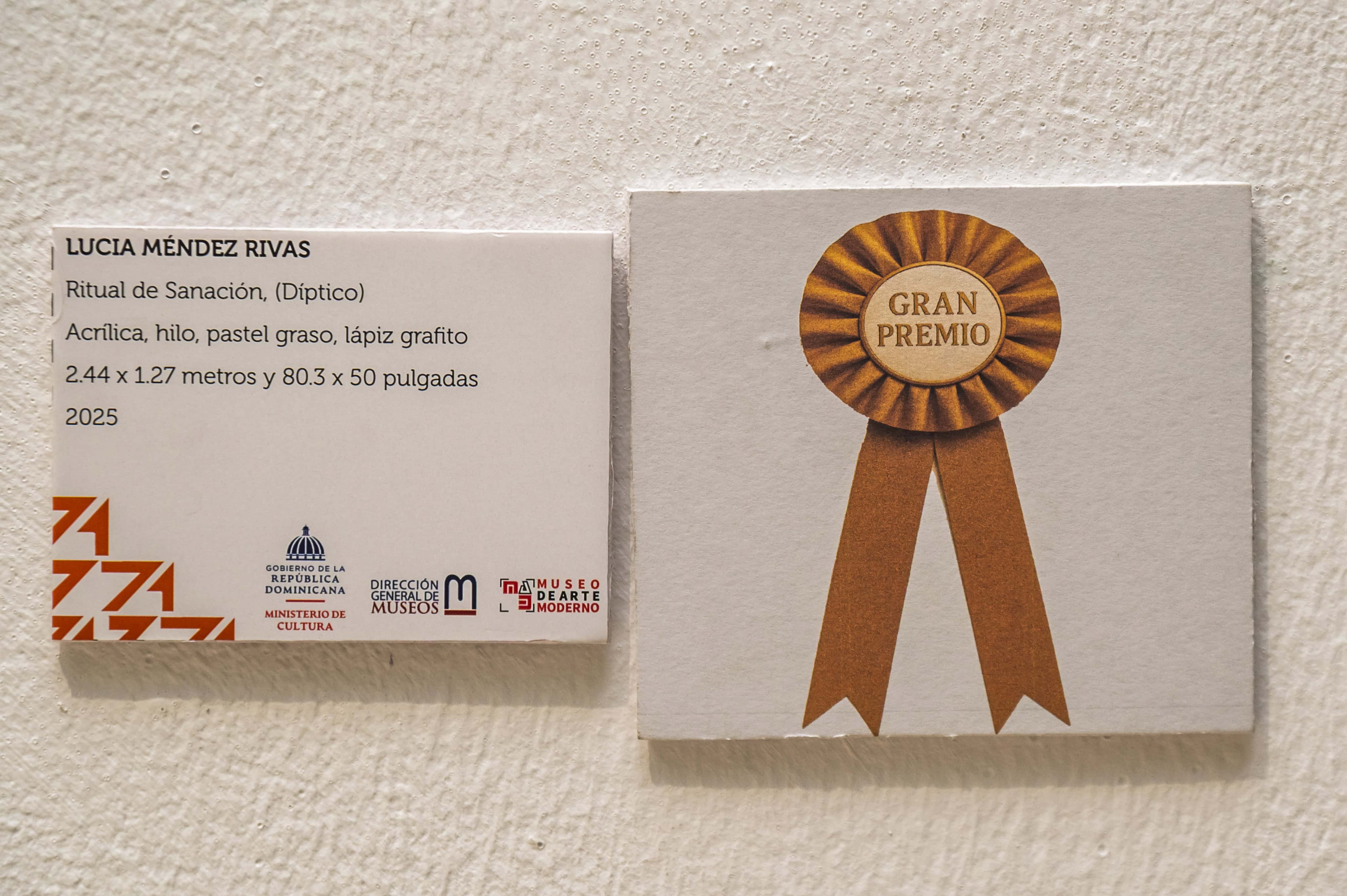 Gran premio de la Bienal para “Ritual de sanación” de Lucía Méndez Rivas.