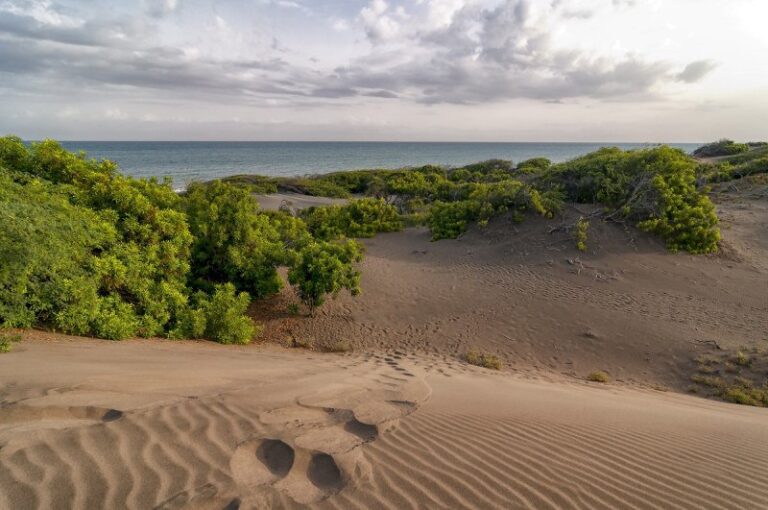 Comisión Ambiental de la UASD rechaza propuesta de “delimitar” dunas de Baní