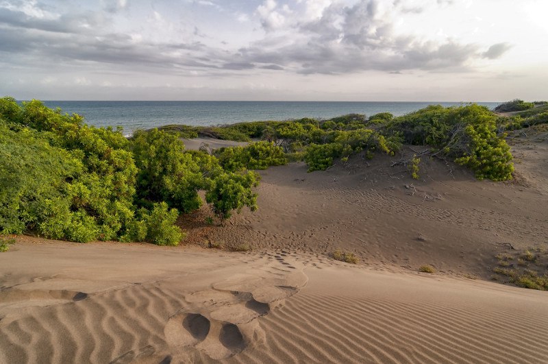 Comisión Ambiental de la UASD rechaza propuesta de “delimitar” dunas de Baní