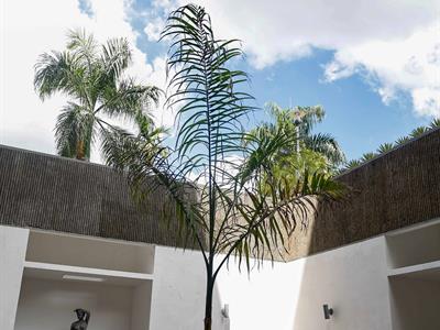Crítica de arte mexicana a los jurados de la Bienal de RD