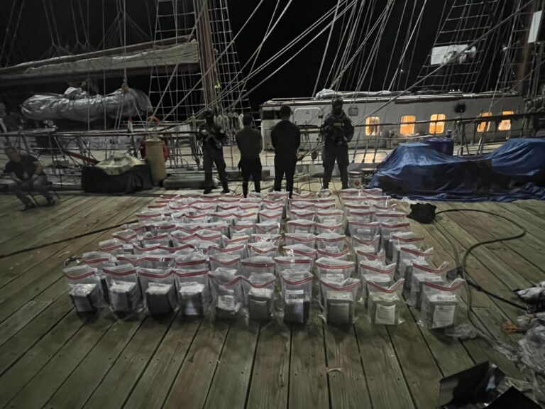 Detienen a dos personas en Peravia y decomisan 448 paquetes de cocaína.