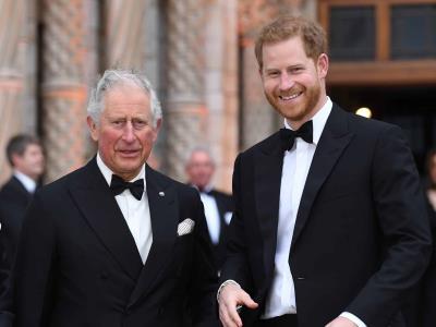 El príncipe Harry visitó al rey Carlos III