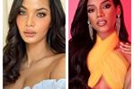 Otras reinas de Puerto Rico han participado en el Miss RD