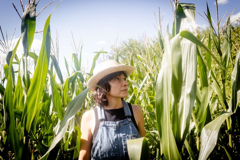 agroquímicos en Argentina