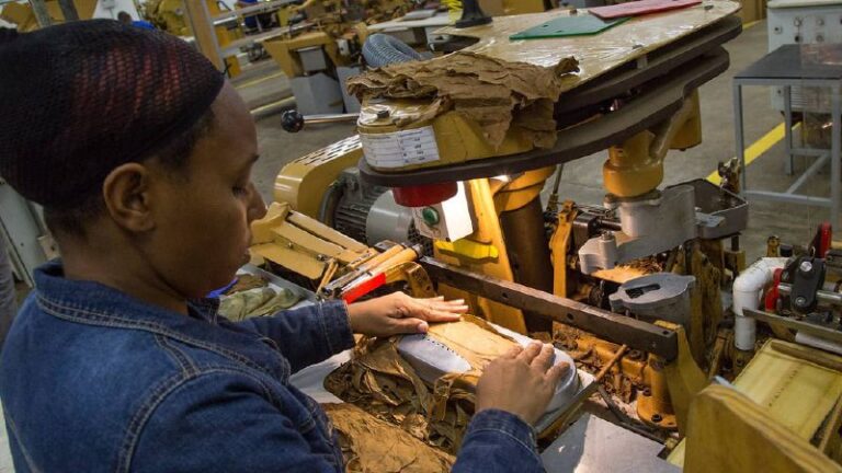 Las zonas francas generan más de 2,600 nuevos empleos en el último año