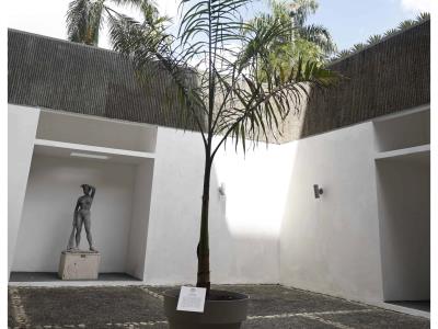 Más artistas visuales solicitan anulación de premio en la Bienal