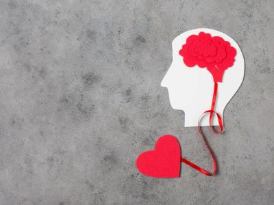 Salud: el vínculo que existe entre la mente y el corazón