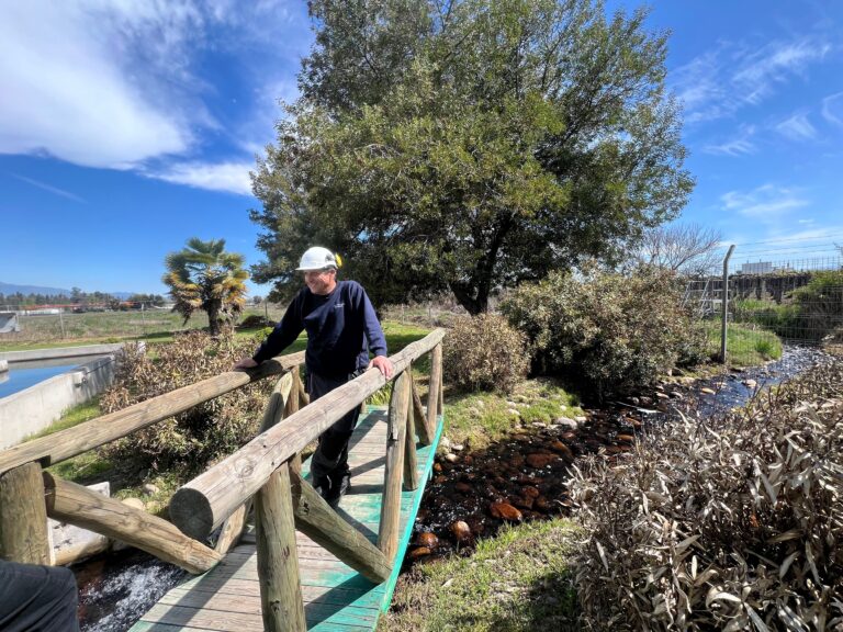AInwater, la startup chilena que usa IA para revolucionar la gestión del agua en América Latina