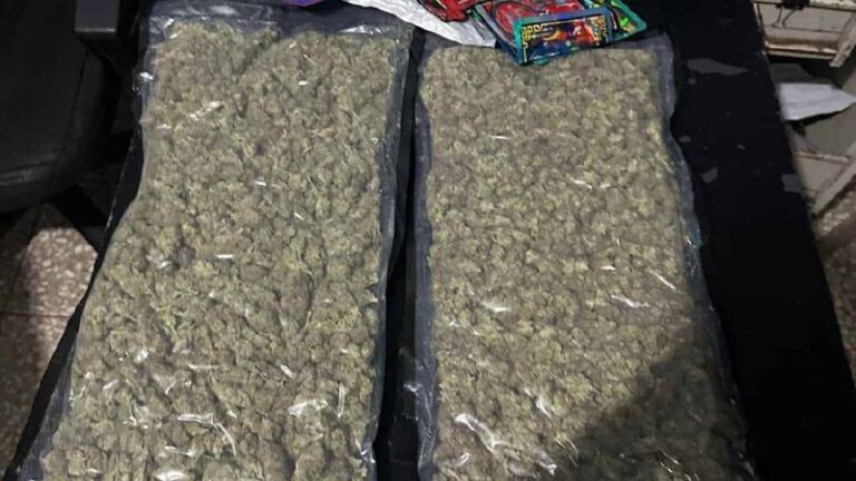 Droga ocupada a "Masha" y otra persona es marihuana sintética de alto valor en el mercado