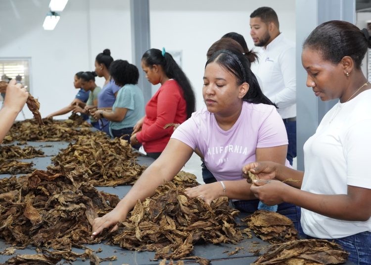 La manufactura local generó RD$127,391 millones en ingresos fiscales hasta agosto de 2025.