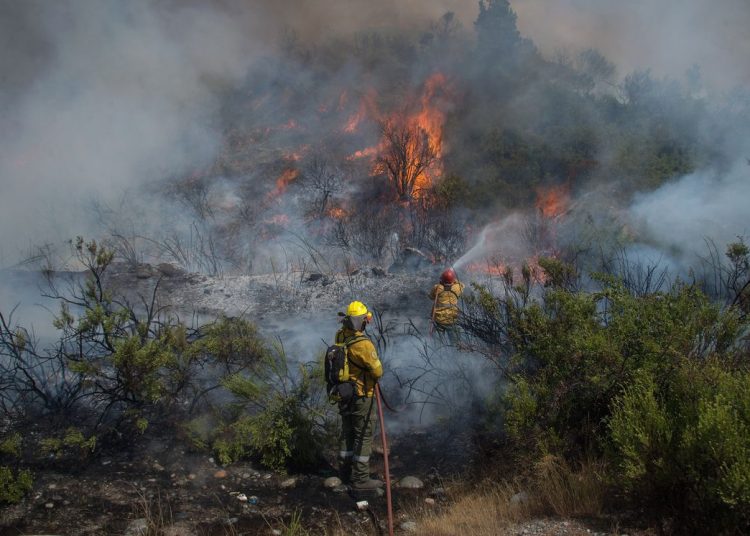 República Dominicana destinó RD$11,433.21 millones al medioambiente en 2024