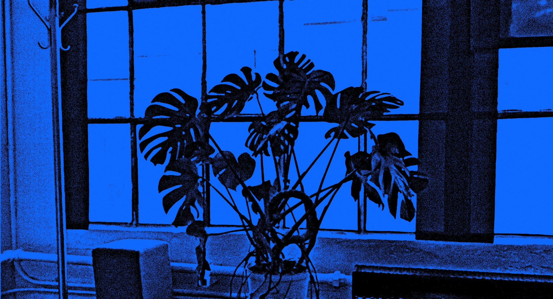 A todos nos conviene que la burbuja de la IA estalle de una vez