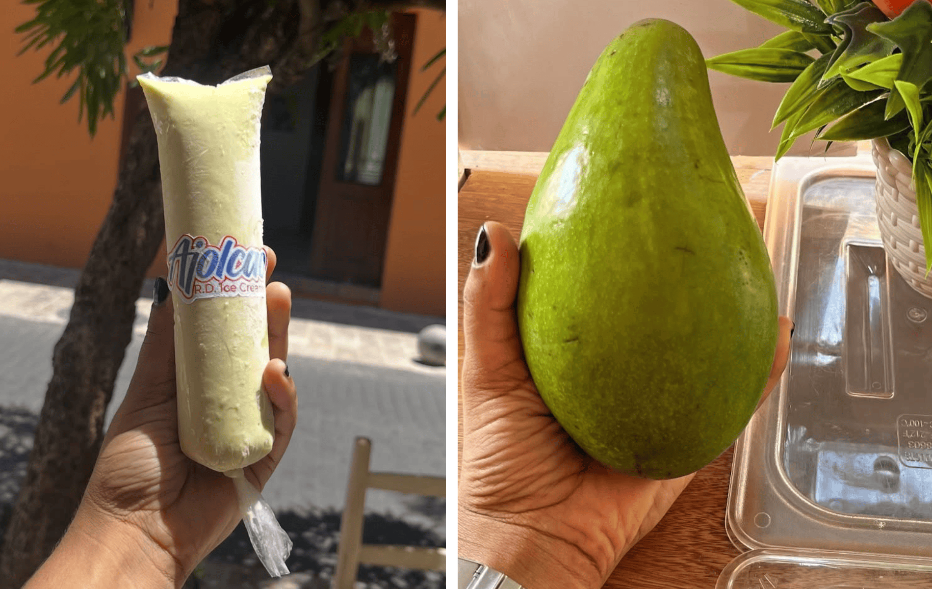 Helado de aguacate, huevo, queso y leche condensada