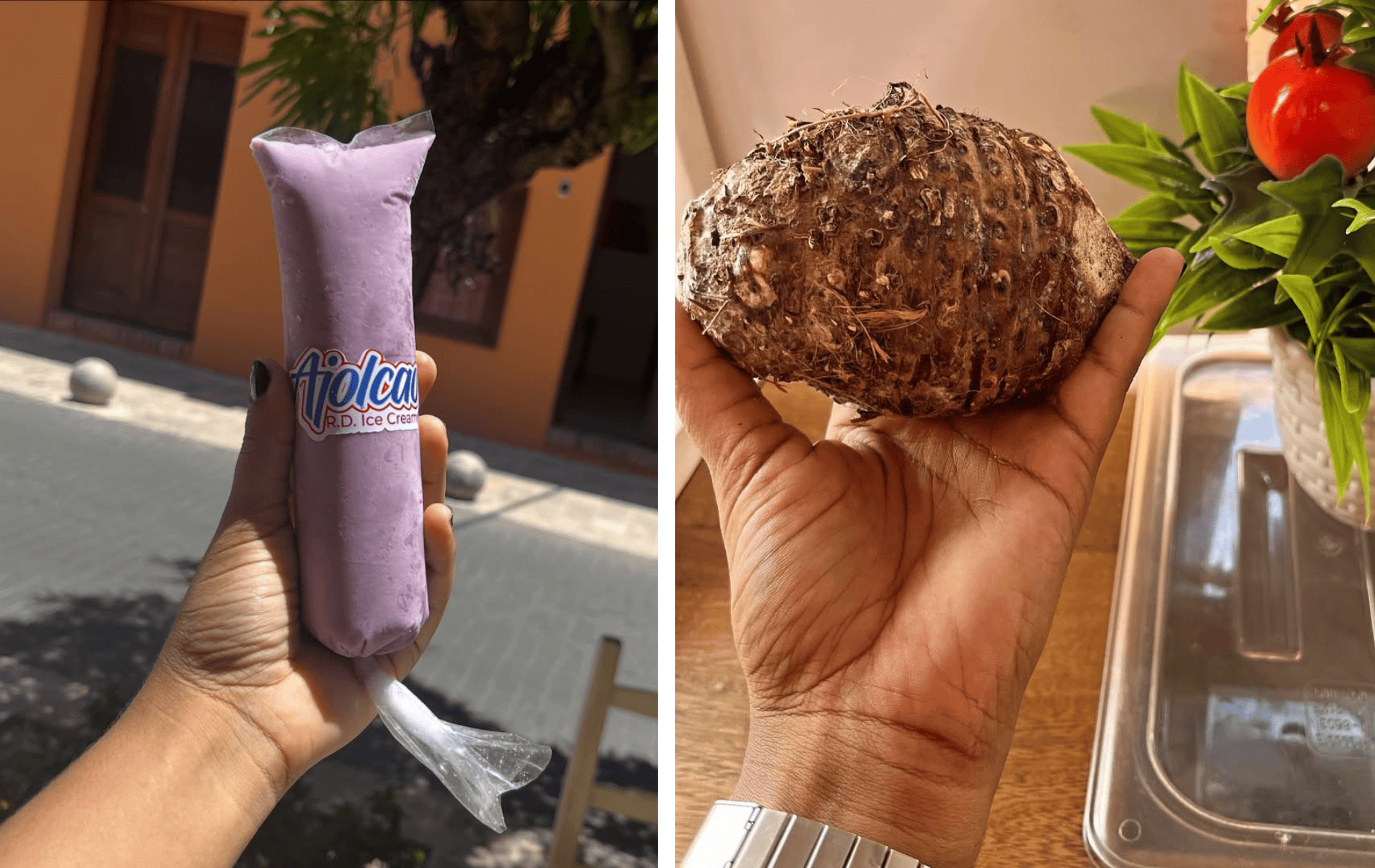 Helado de Yautía Coco