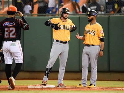 LIDOM: Un mes y adiós: la realidad de la Liga Dominicana de hoy