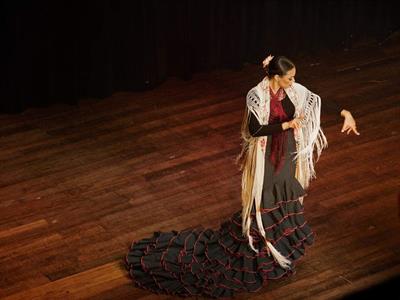 “Viva Flamenco”: un homenaje al arte que se baila con el alma