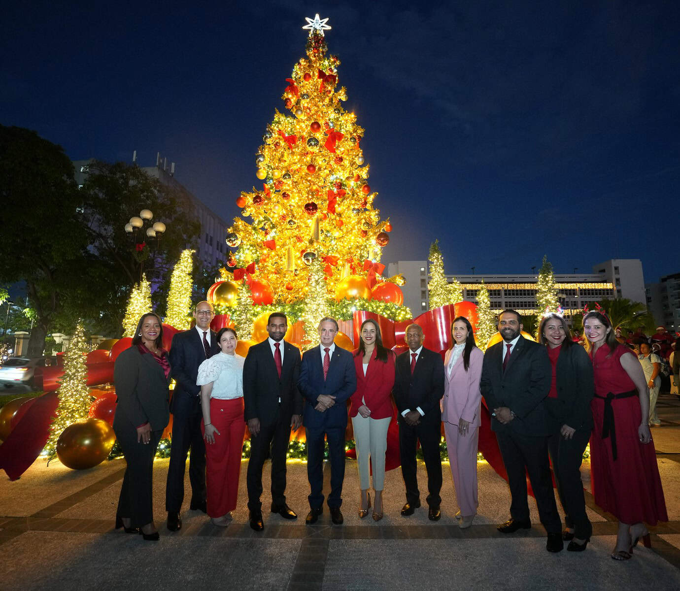 Miguelina Castillo, Osvaldo Lagares, Catherine Asencio, Miguel Aquino, Máximo Rodríguez, Jaely Fernández, Wilson Batista, Natalia Rojas, Erwin Molina, Gisel Hernández y Patricia Escaño.