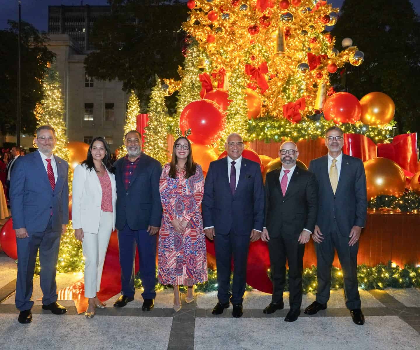 Joel Tejeda, Liselotte Reyes, Frank Montaño, Maitee Mateo, Ervin Novas, Eric Medina y Rafael Jiménez.