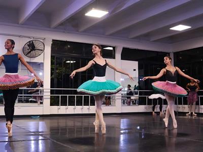 "El reino del cascanueces" inaugura la Navidad en el TN