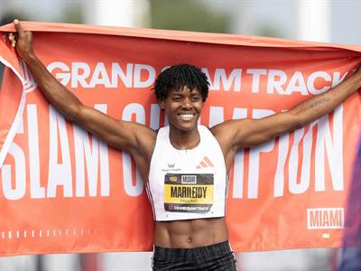 Paulino y Ogando tendrían que devolver lo cobrado si la GST quiebra